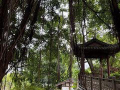 -乌山风景区