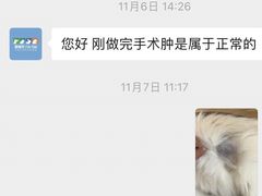 -瑞派·爱瑞可动物医院·口腔专科(广华新城分院)