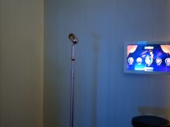 -欢唱KTV(东街店)