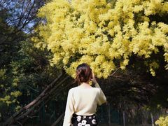 -厦门国家会计学院