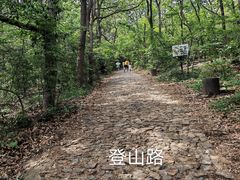 -紫金山山顶公园