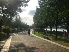-飞来湖湿地公园