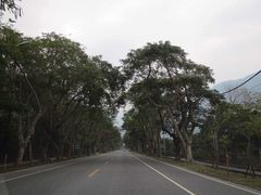 -太鲁阁公园