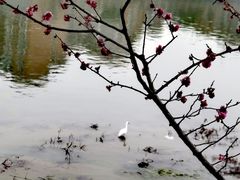 -望江楼公园