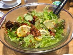 养生盆盆菜-巢爷老味(东方红店)