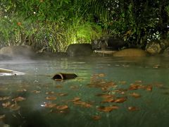 -厦门日月谷温泉渡假村