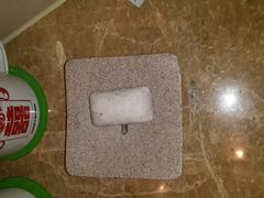 android_upload_pic-上海浦东康桥绿地假日酒店