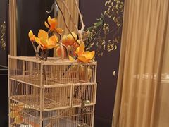 -君庭中餐厅(友谊宾馆店)