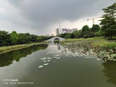 -映月湖公园