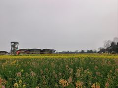 -中国天府农业博览园