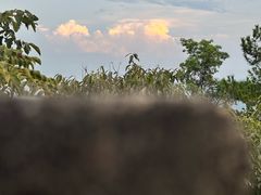 -溪霞怪石岭生态公园