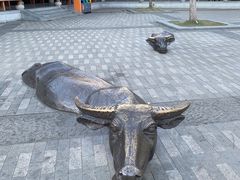 -孺子亭公园