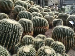 -南山植物园