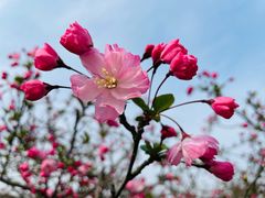 -苏州上方山国家森林公园
