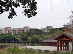 -映月湖公园