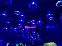 -福州罗源湾海洋世界旅游区