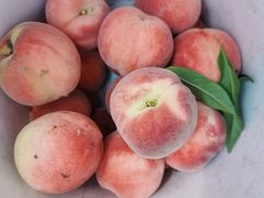 -华盛园卷子王农家菜水库鱼