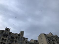 -中加枫华国际学校