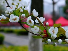 -荆川公园