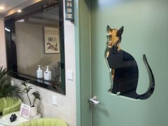 -半岛宠物医院24小时·内窥镜·牙科·碎石中心(府城大道店)