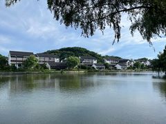 -鲁镇