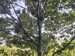 -中国移动南方基地