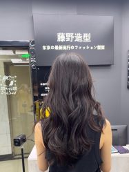 -藤野造型
