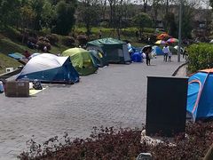 -枫香湖儿童公园