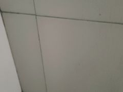 -金色雨林学习力培优(专注力提升)