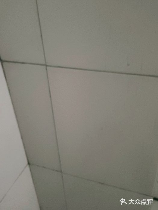 金色雨林学习力培优(专注力提升)图片