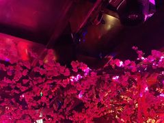 -周庄红庭演艺酒吧