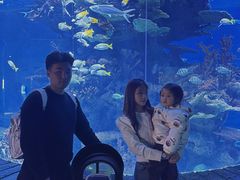 -多彩贵州城极地海洋世界