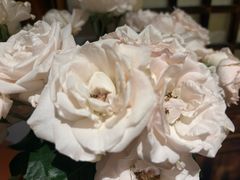 -龙源茶坊(白银路店)