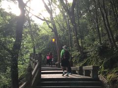-普陀山风景区-佛顶山