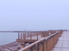 -东疆建设开发纪念公园