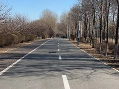 -长白岛森林公园