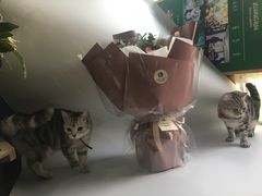 -参差咖啡(水果湖公园店)