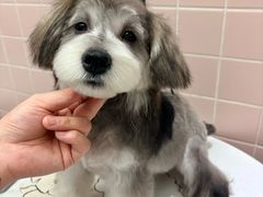-FAELING PETS美天灵宠物(富力广场店)