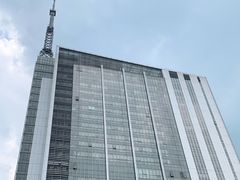 -杭州文化广播电视集团