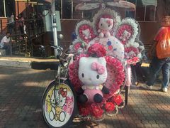 -荷兰红屋