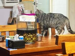 -老北京褡裢火烧·任记