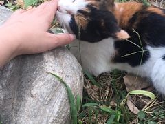 -酷鱼垂钓CLUB(朝阳区博大路店 )