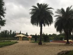 -河泥荡文化公园