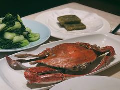 奶白菜呛炒-高佳庄·舟山海鲜(海景旗舰店)