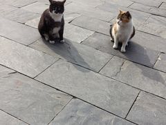 -长春观