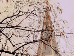 -川沙古镇-停车场