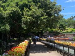 -胡里山炮台