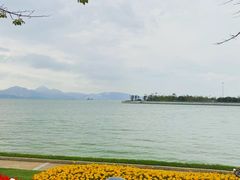-深圳湾公园(南山区)