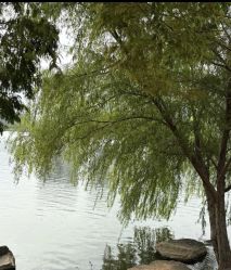 -Zoolung Zoolung动物主题公园(海信广场店)