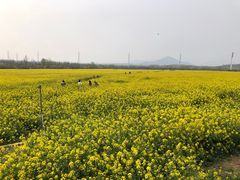 -西海岸生态观光园